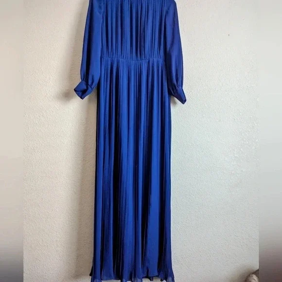 Vintage Pleated Chiffon Dress- Japanese- Robe de Command- Floor length Georgette - Picture 5 of 16